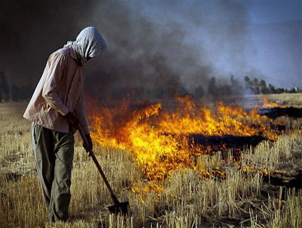 آتش زدن مزارع، مصداق تهدید بهداشت عمومی است